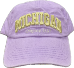 Robin Ruth Michigan Baseball Hat - Violet